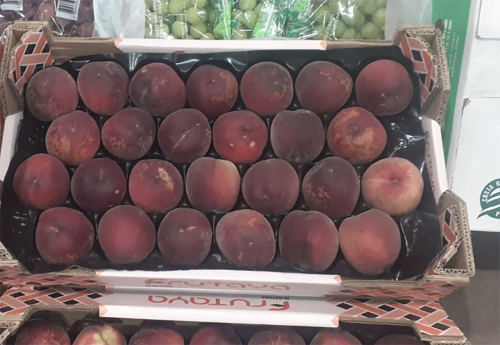 Pesche - Spagna - 5,00 euro al chilogrammo